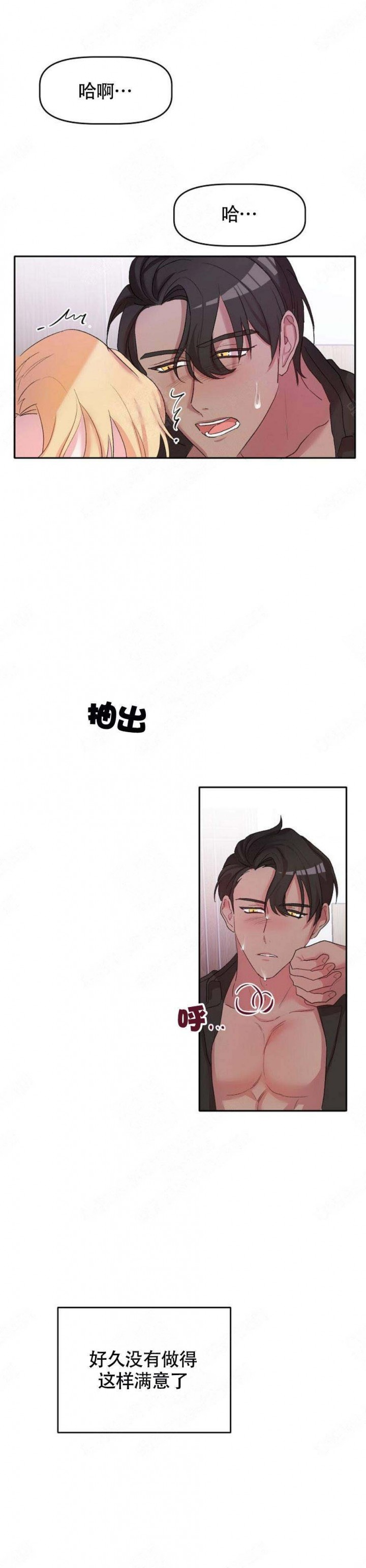 14.jpg