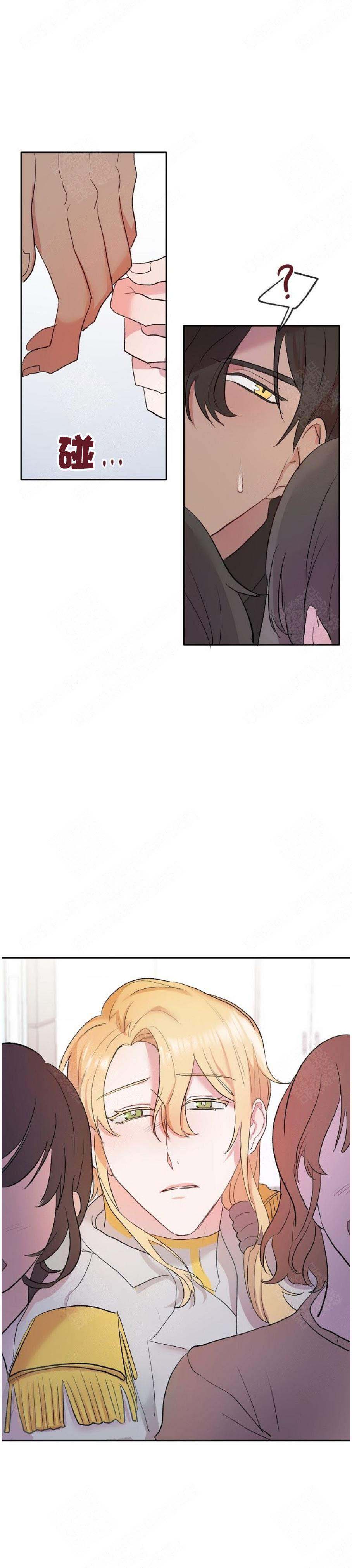 11.jpg