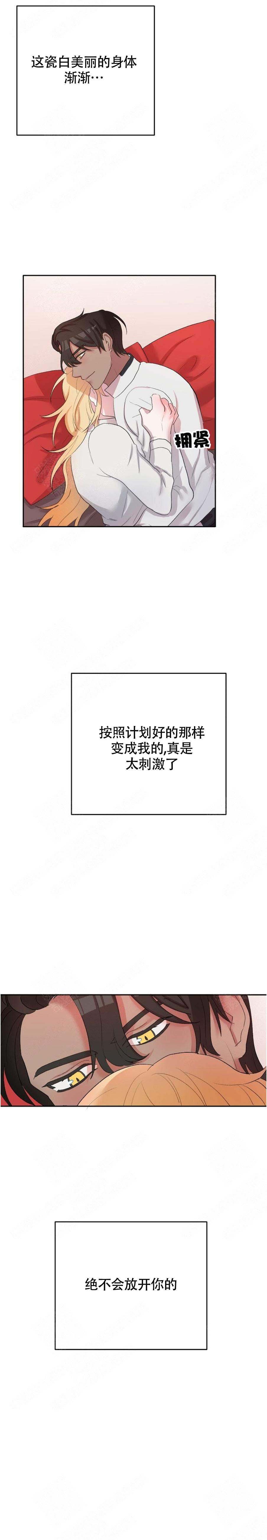 17.jpg