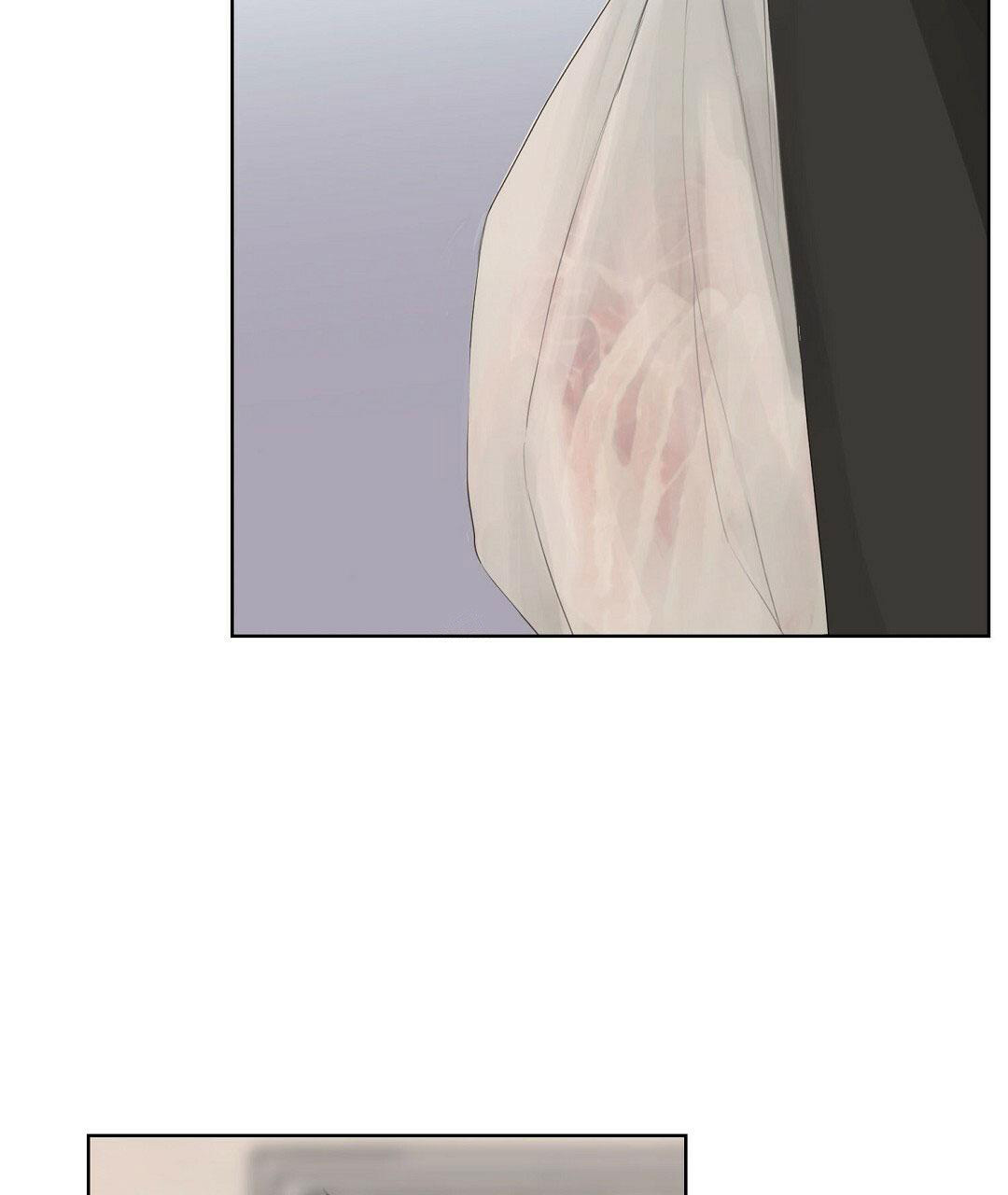 53.jpg