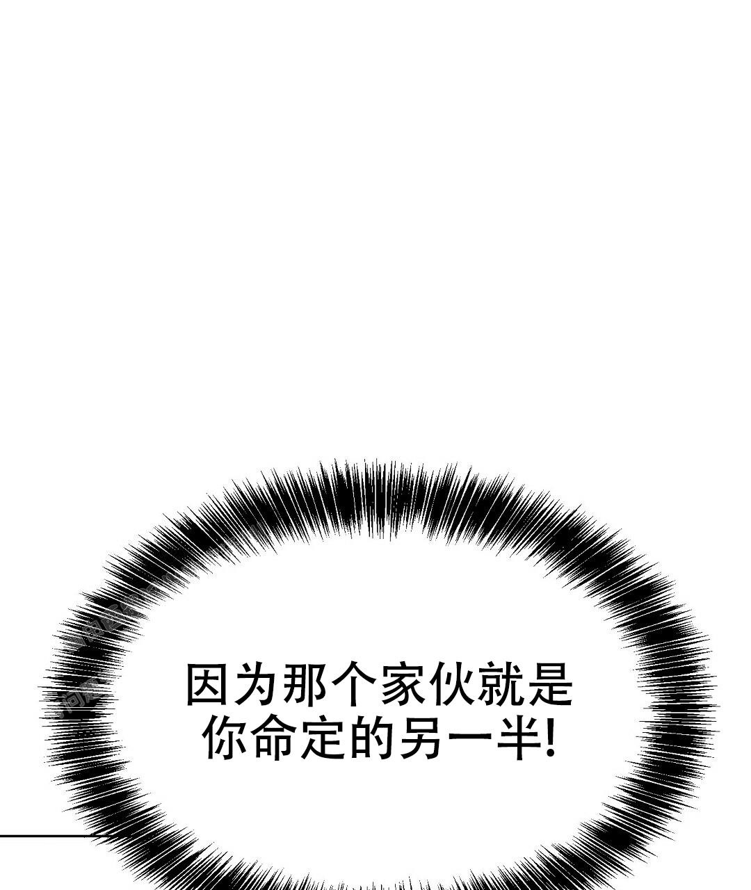 95.jpg