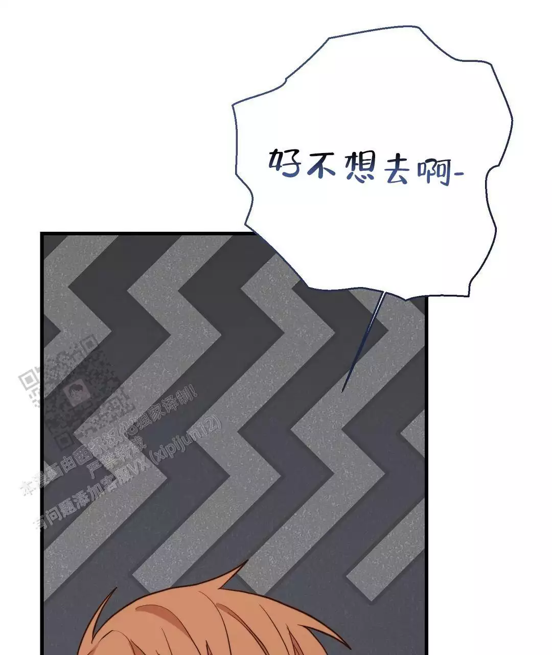 62.jpg