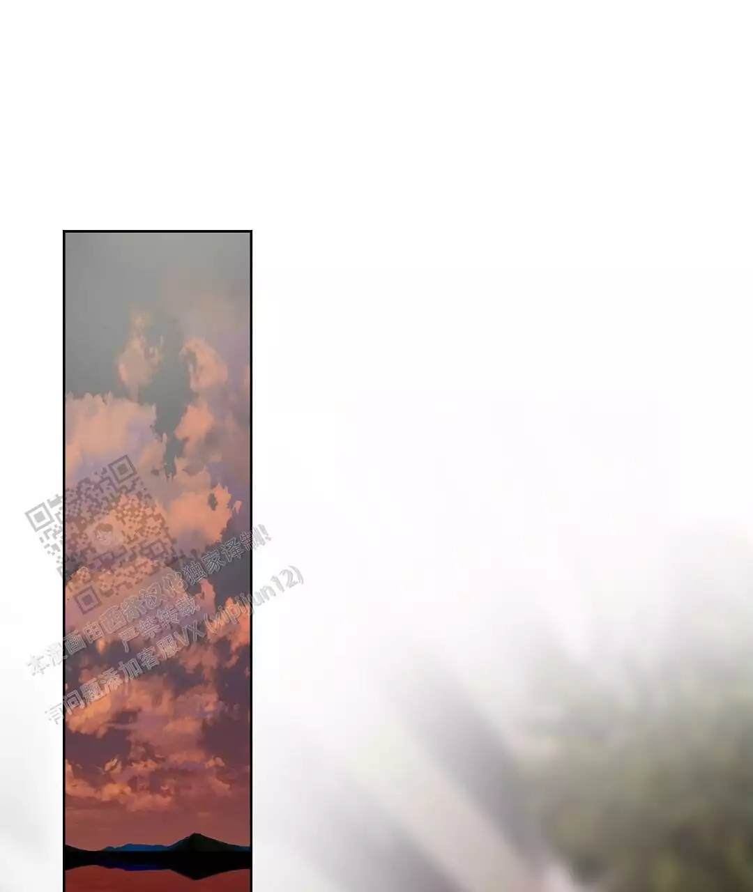 78.jpg