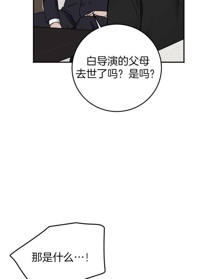 43.jpg