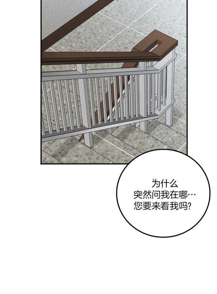 26.jpg