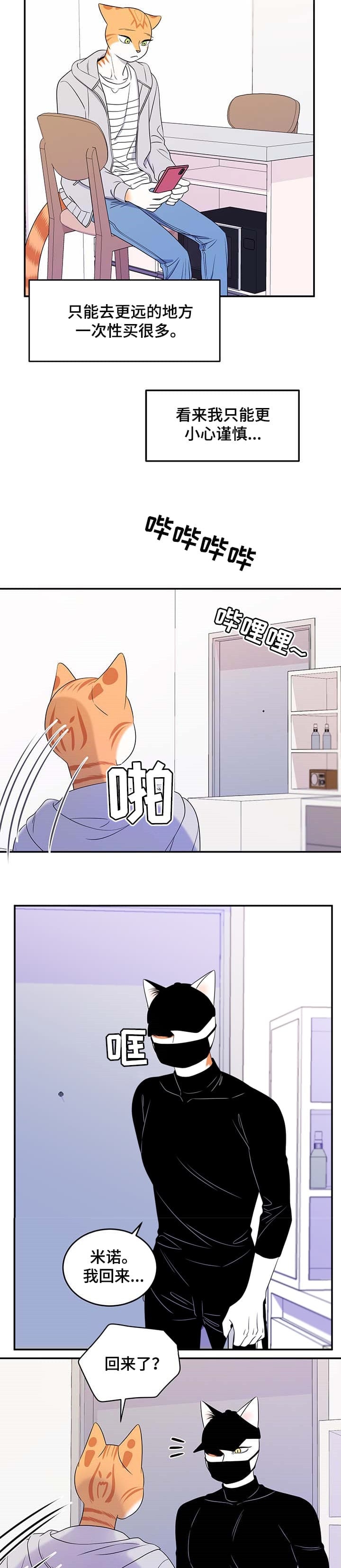 8.jpg