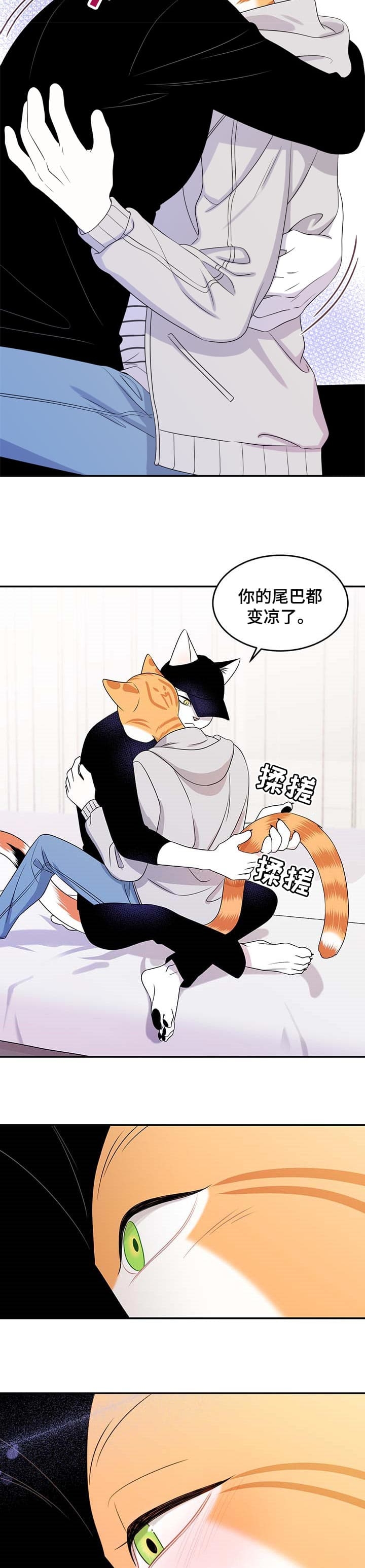 14.jpg