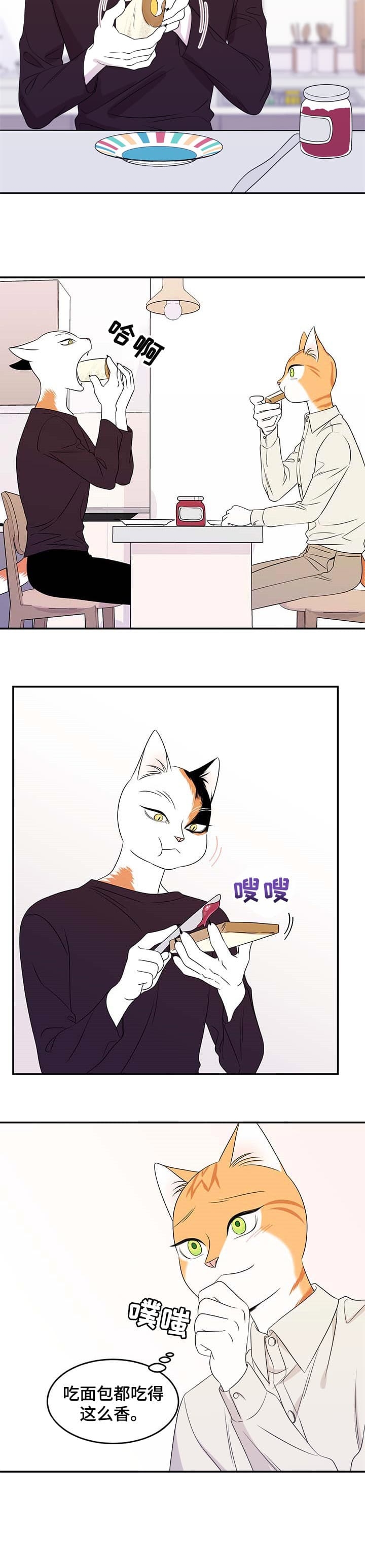3.jpg