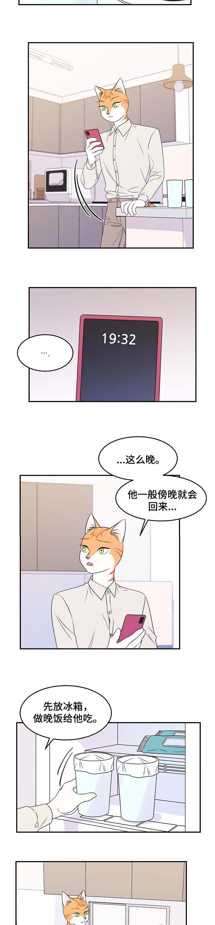 13.jpg