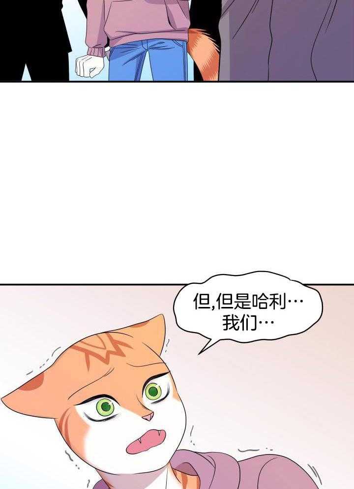 29.jpg