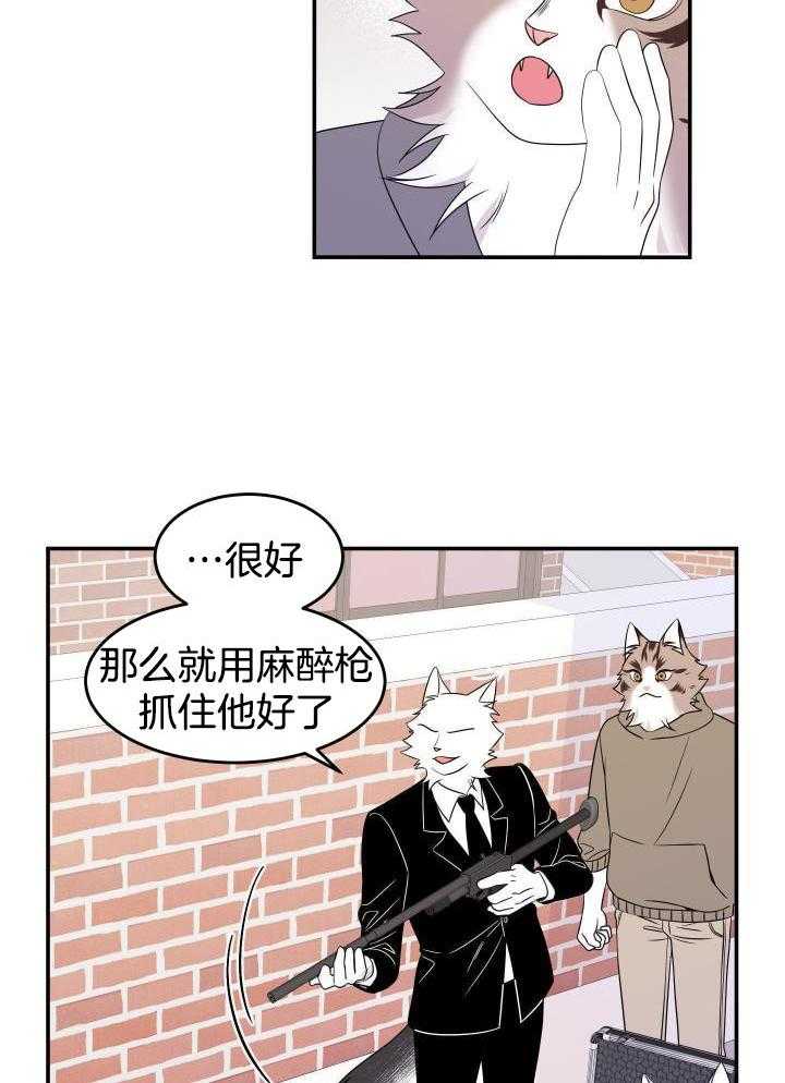 16.jpg