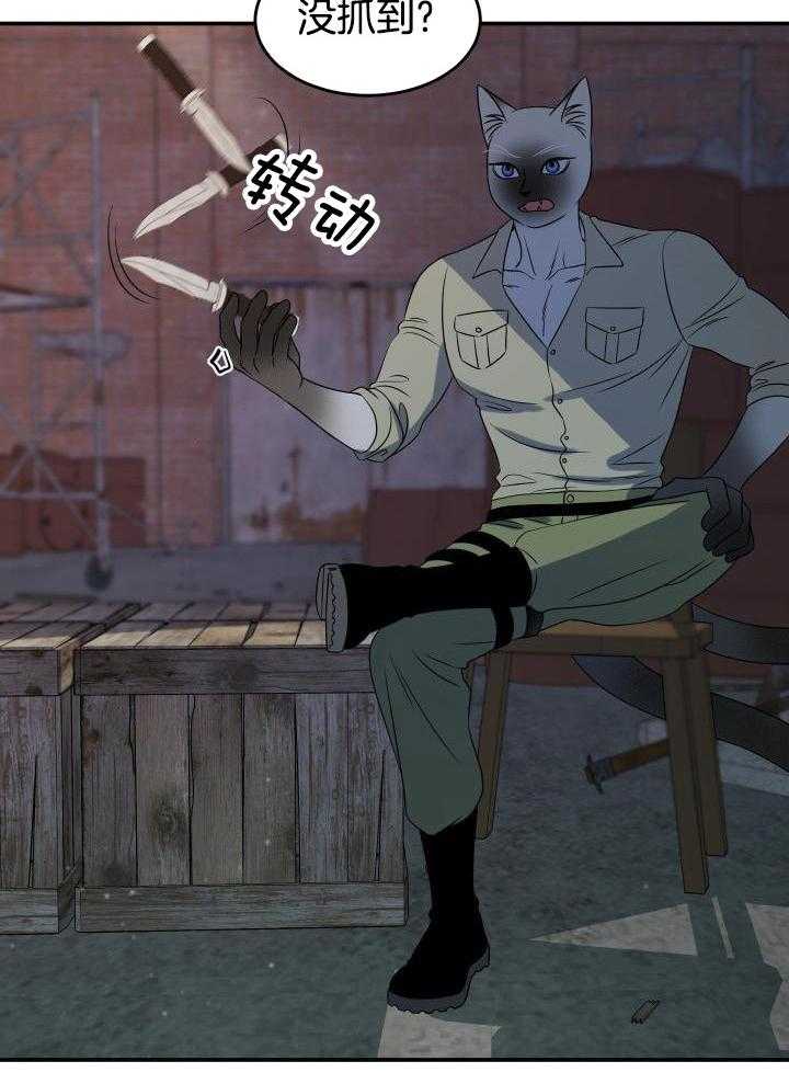 22.jpg