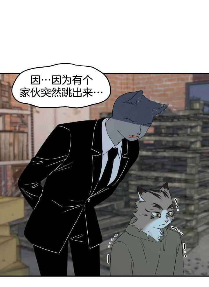 23.jpg