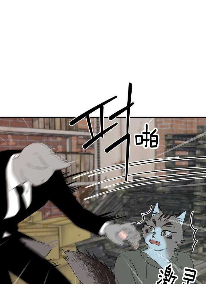 24.jpg