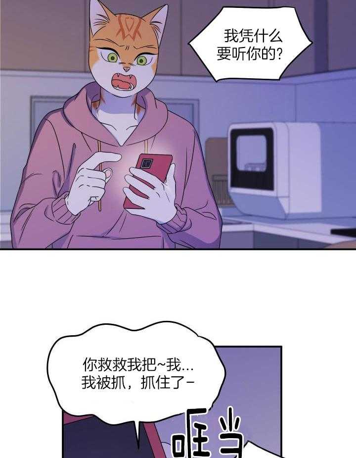 30.jpg