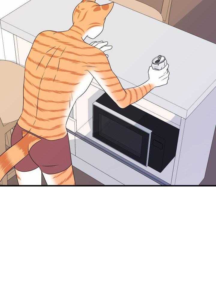 28.jpg