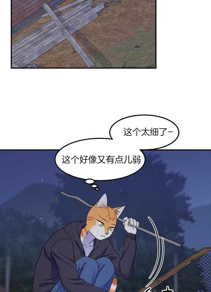 19.jpg