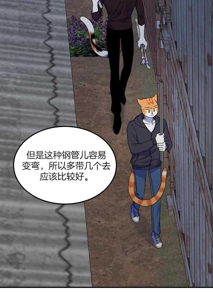 12.jpg