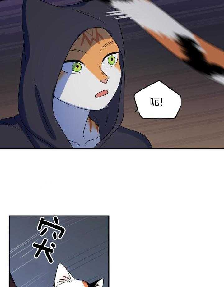 26.jpg