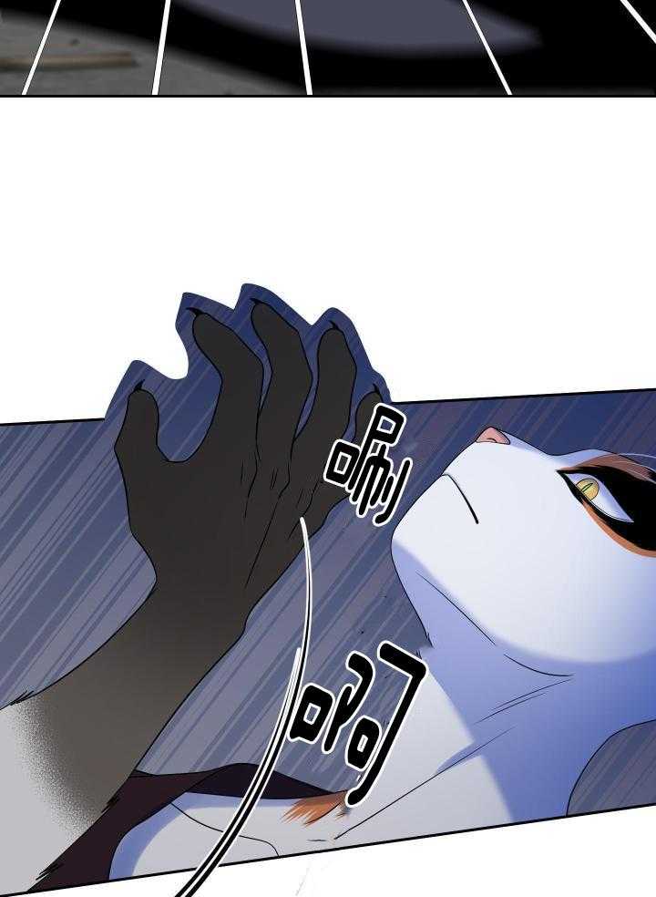 21.jpg