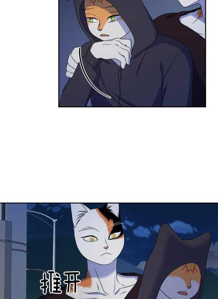 19.jpg