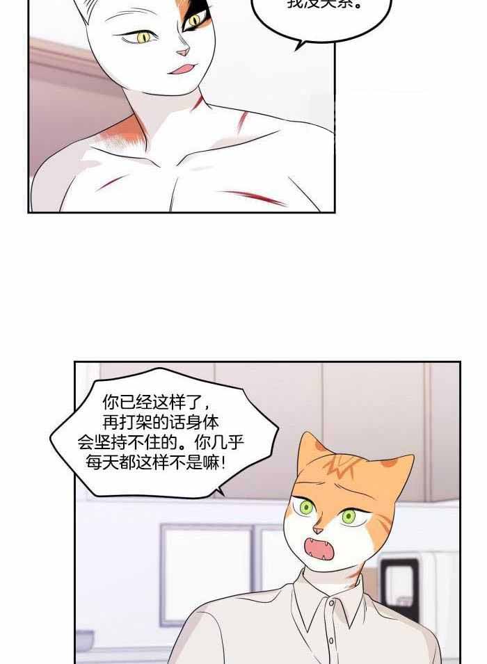 15.jpg