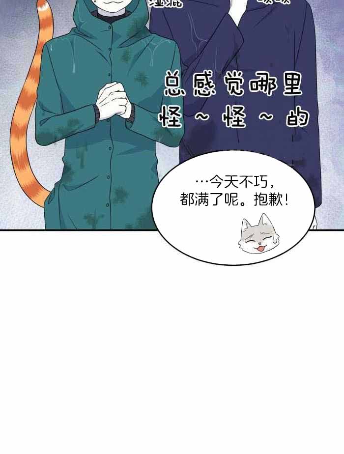 20.jpg