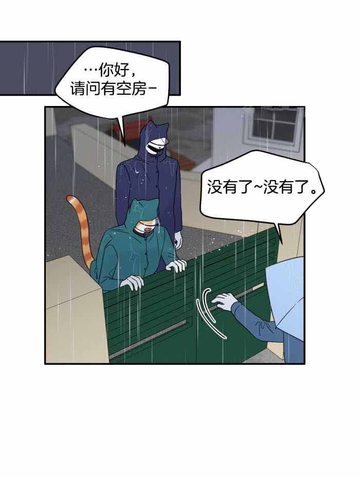21.jpg
