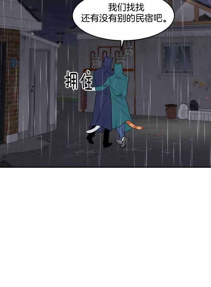 27.jpg