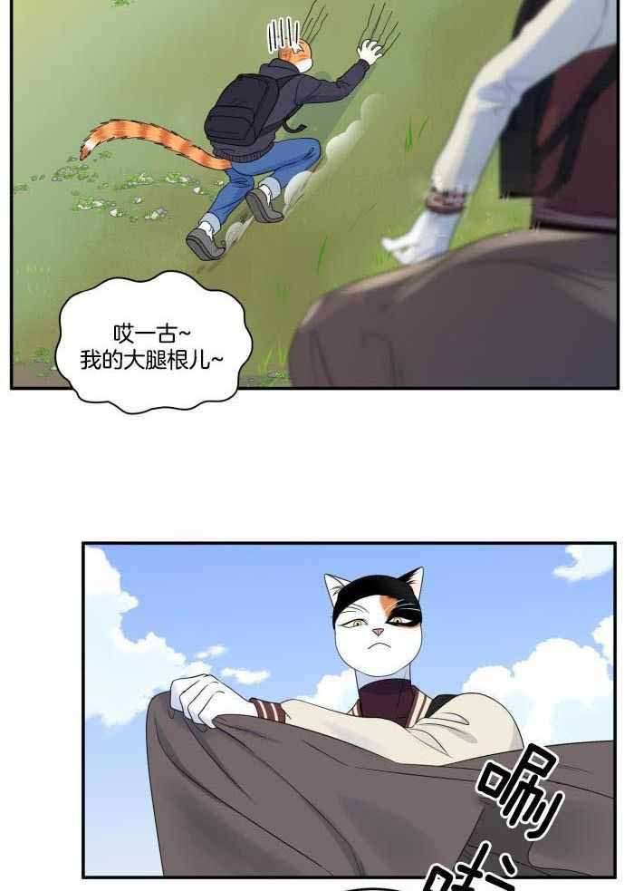 23.jpg