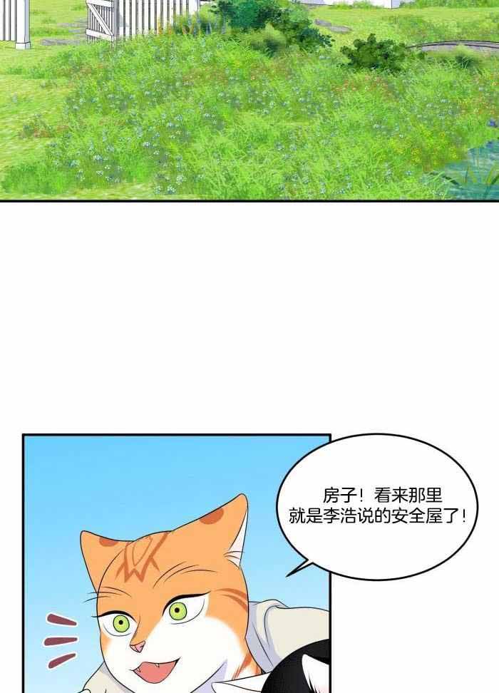 24.jpg
