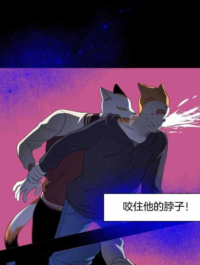 21.jpg
