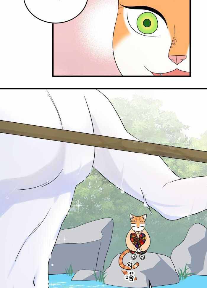 13.jpg