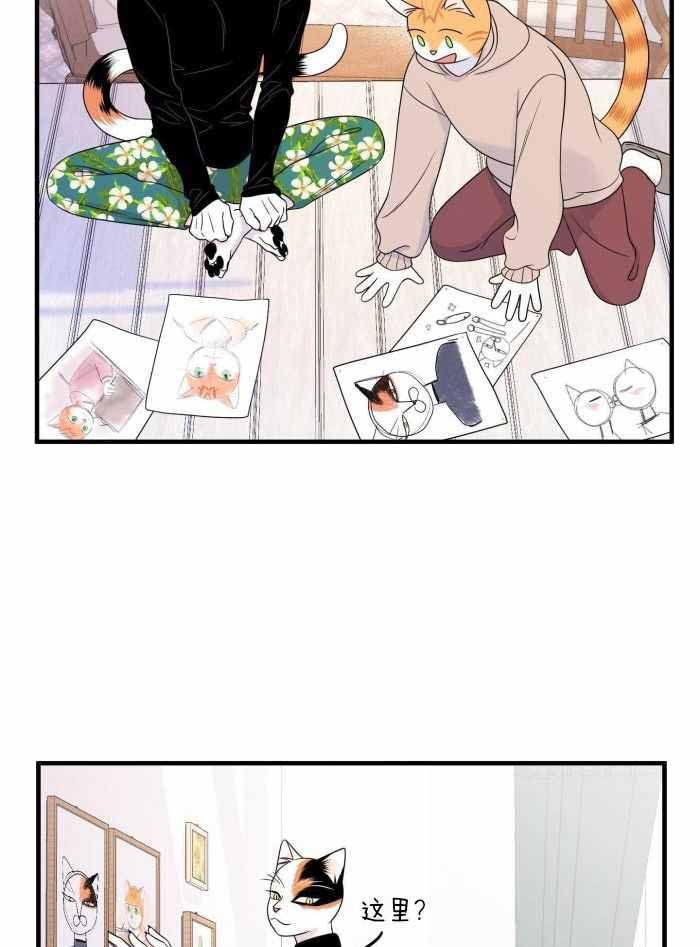 25.jpg