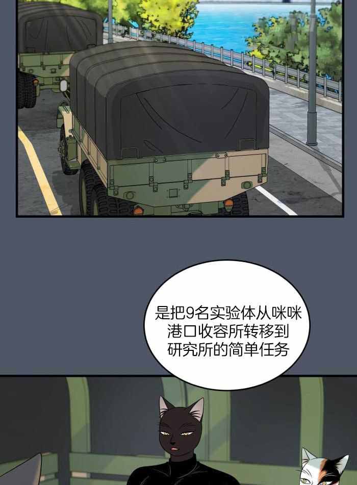 29.jpg