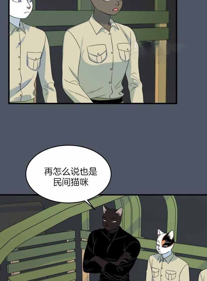 31.jpg