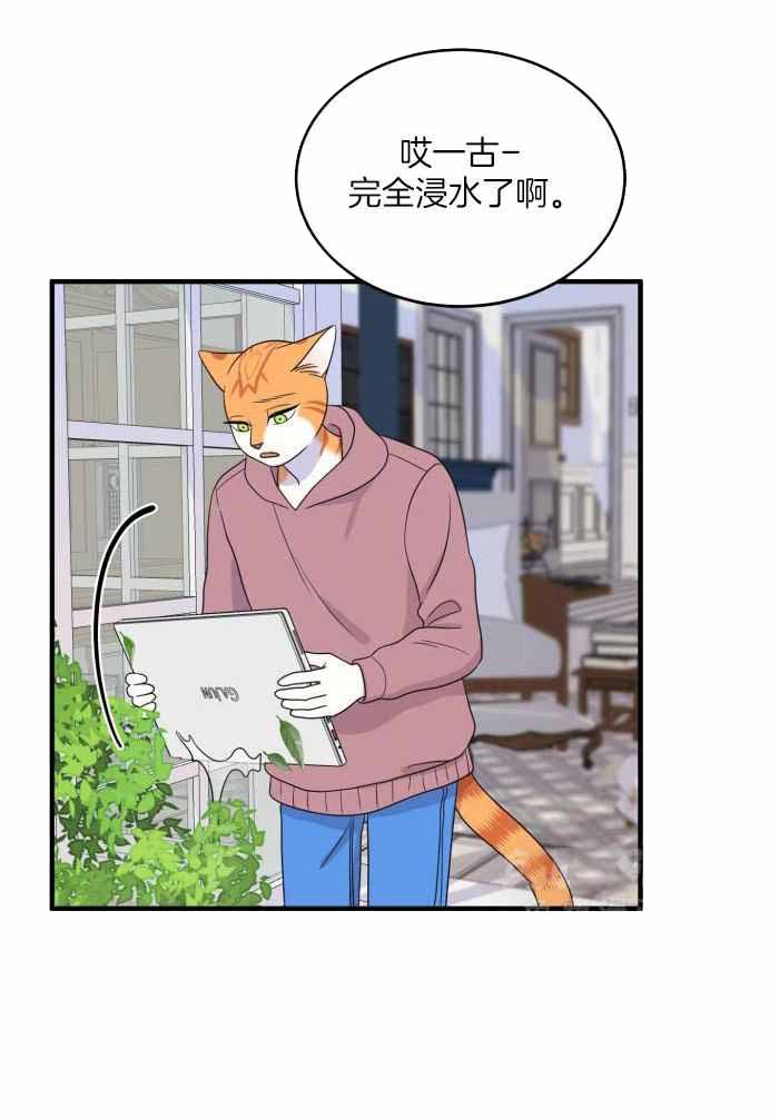 15.jpg