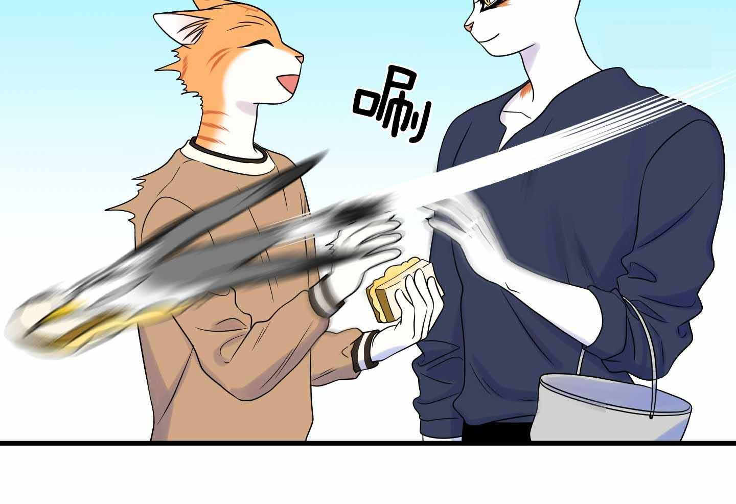 23.jpg