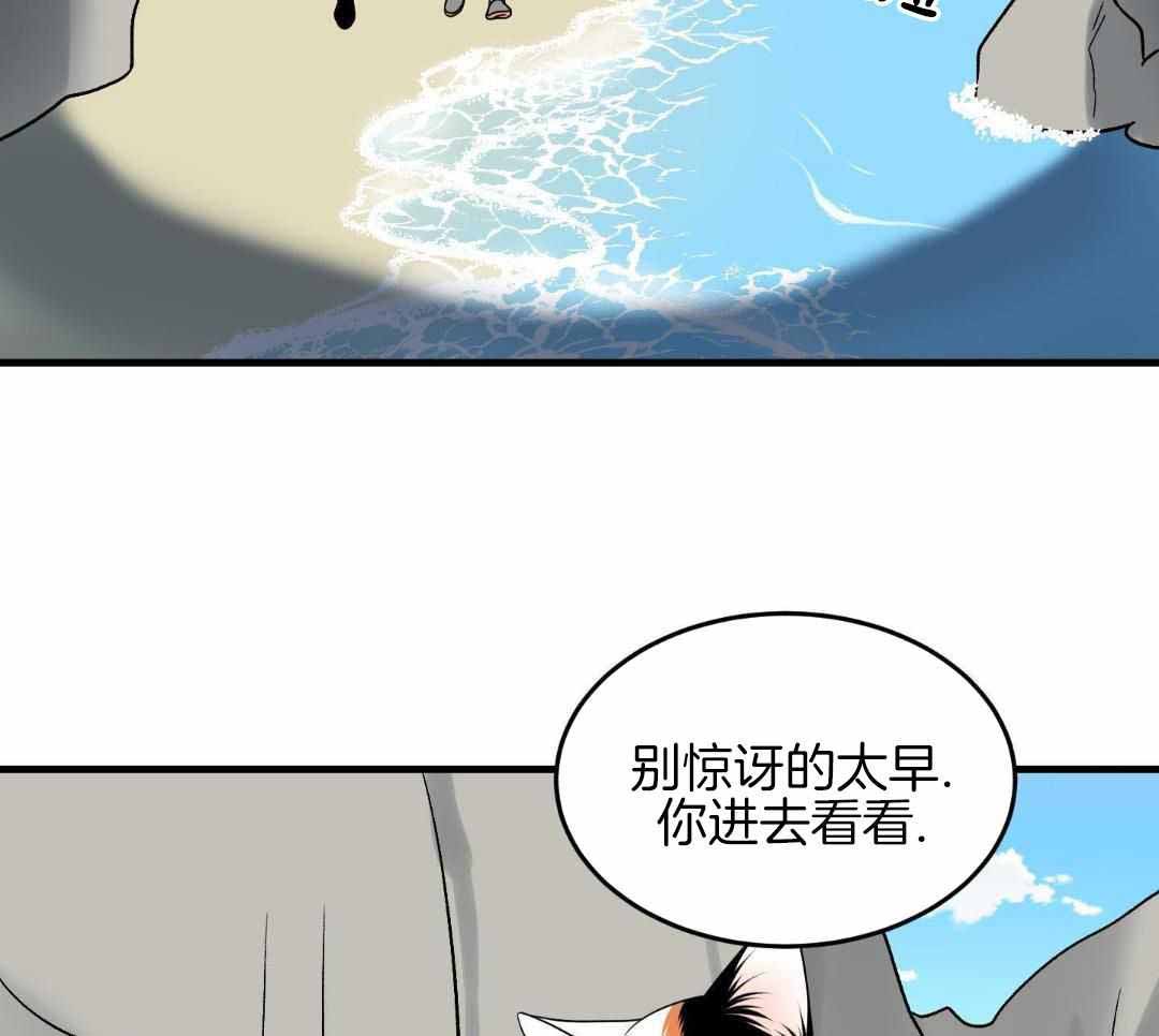47.jpg
