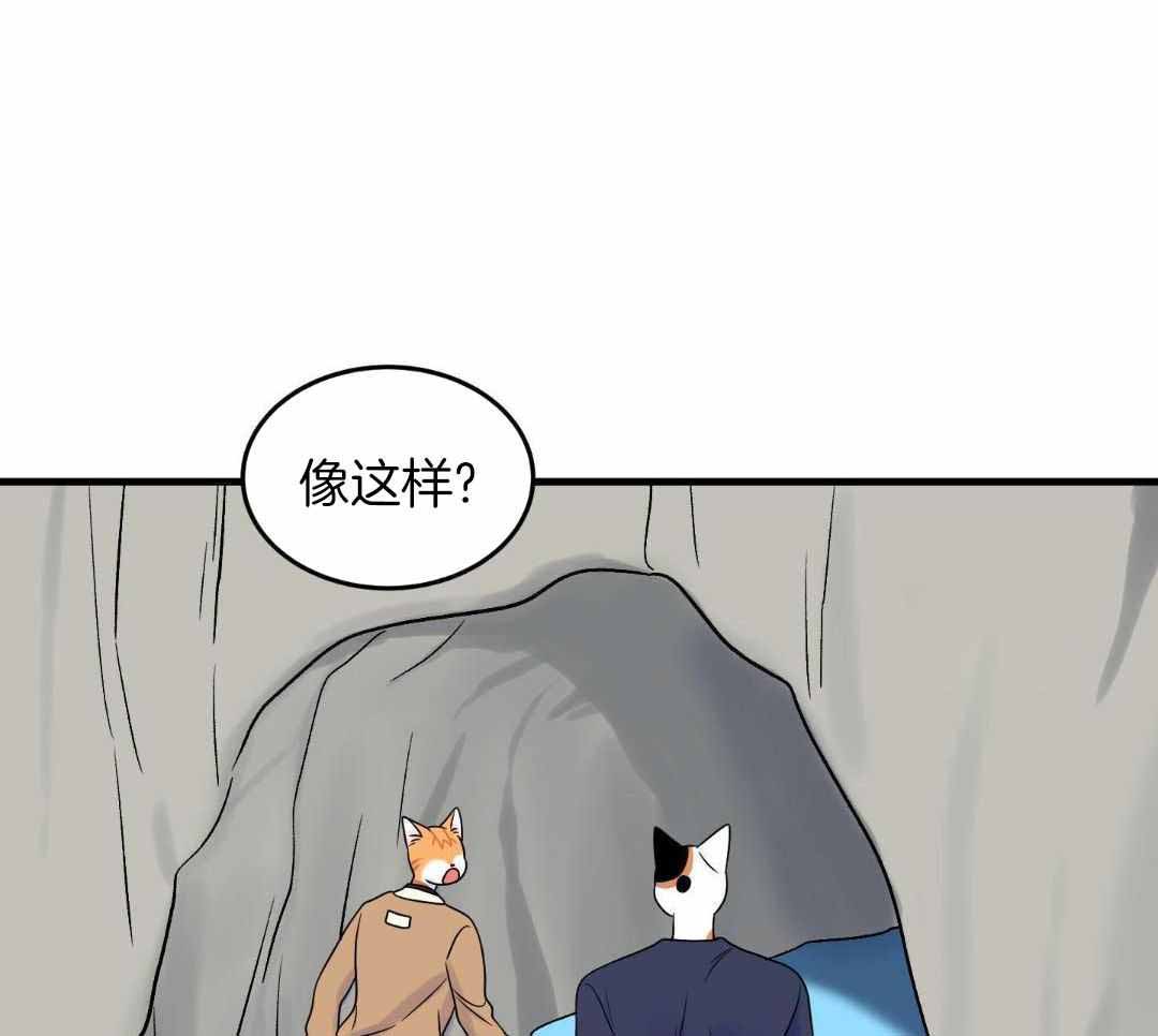 49.jpg