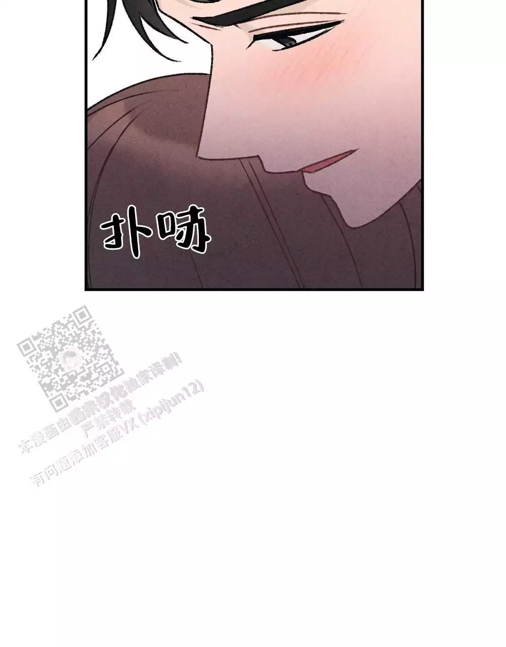 51.jpg