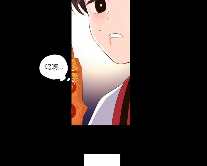 48.jpg