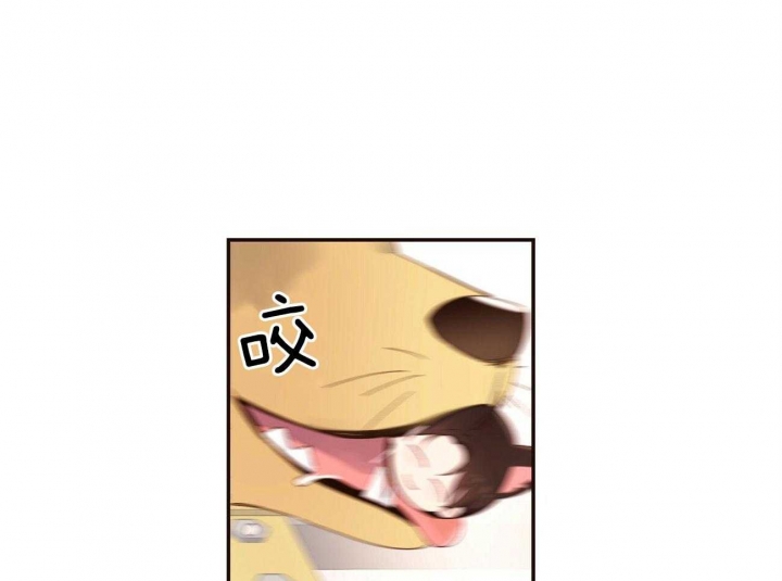 34.jpg