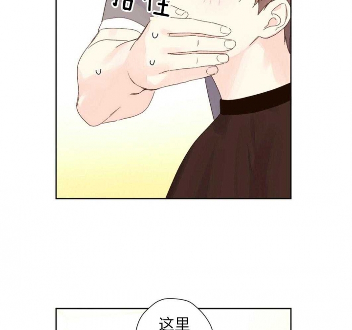 25.jpg