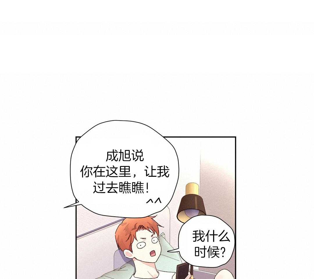 96.jpg