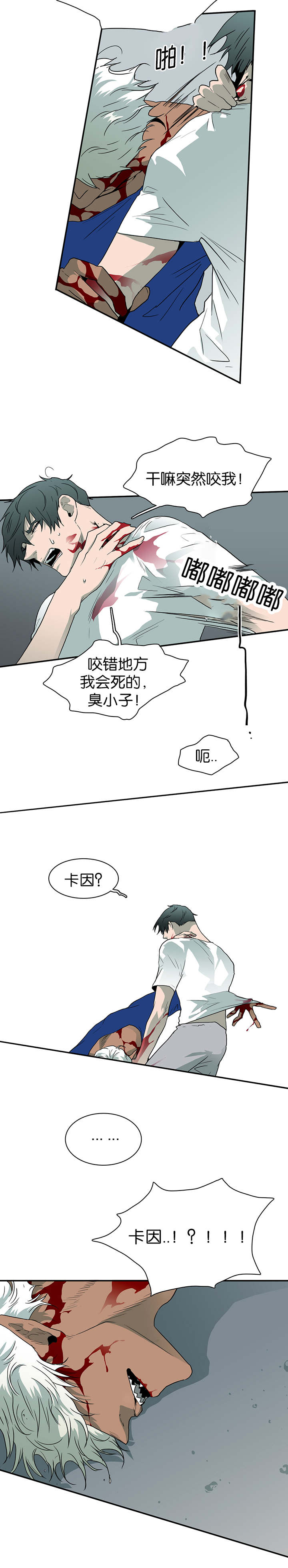 2.jpg