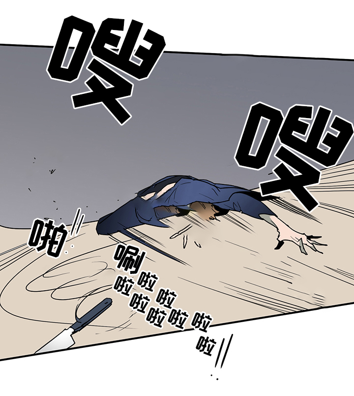 20.jpg