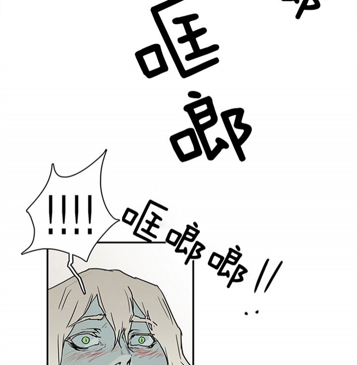 34.jpg