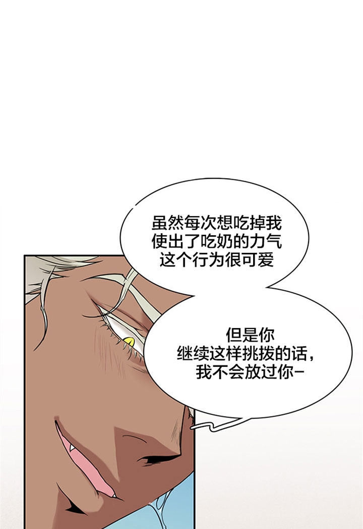 13.jpg