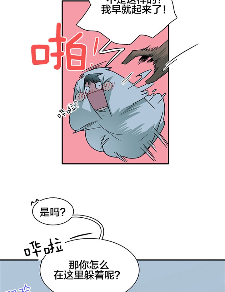 22.jpg